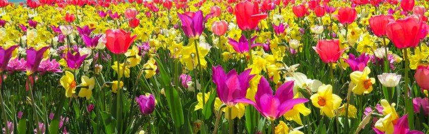 centroyogaatman-equinozio-di-primavera-1080x675